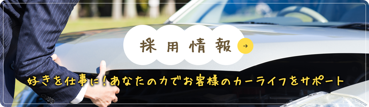 採用情報